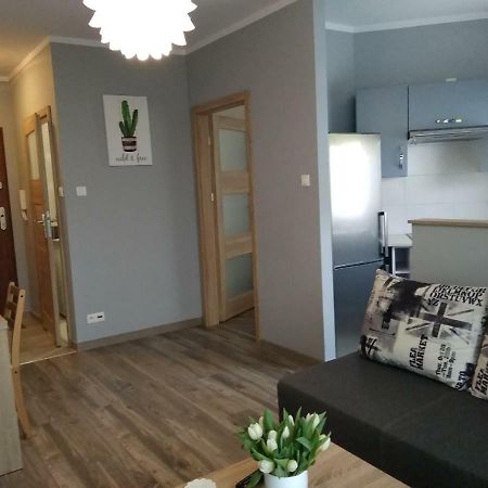 Apartamento Apartament Edelmana Gorzów Wielkopolski Exterior foto